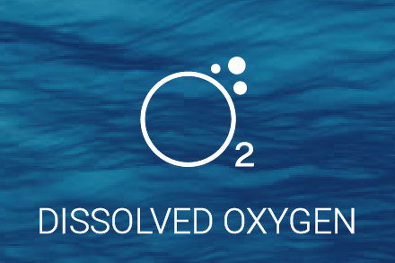 Oxigeno Disuelto
